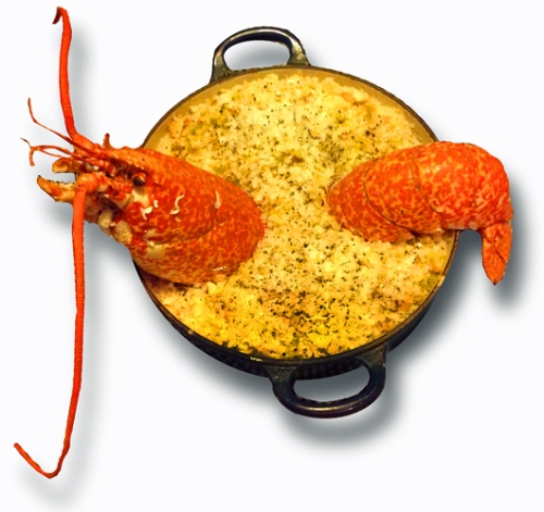 Lobster Macaroni Cheese